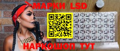 мяу мяу мука Гатчина